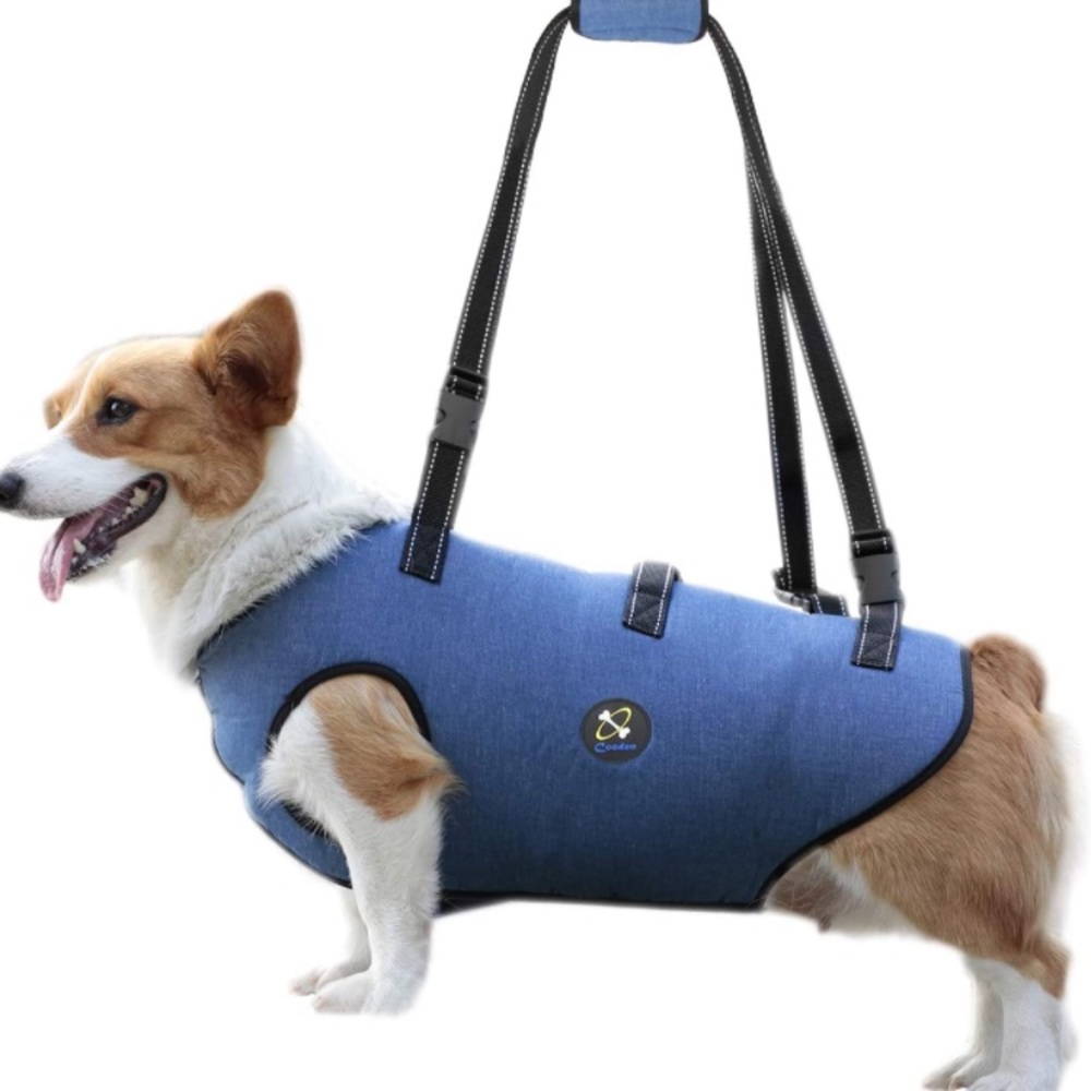 DOG LIFT HARNESS
